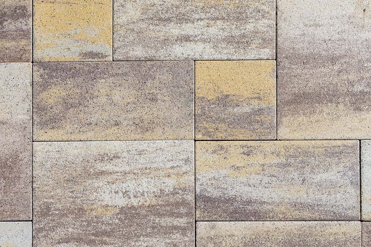 Baroc D12 – imagine 7