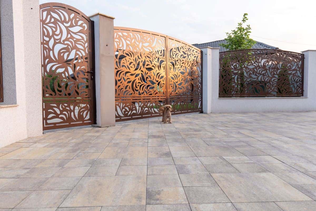 Baroc P10 – imagine 2