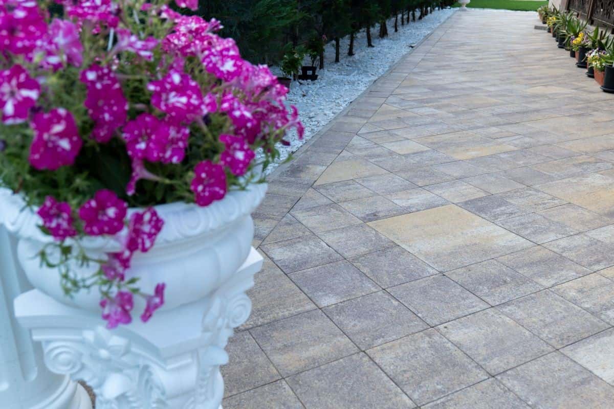 Baroc P10 – imagine 5