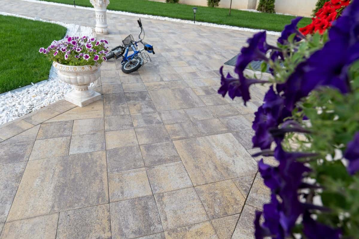 Baroc P9 – imagine 3