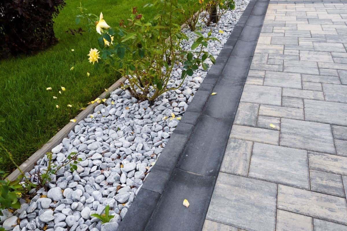 Rigola scafa R10 – imagine 2