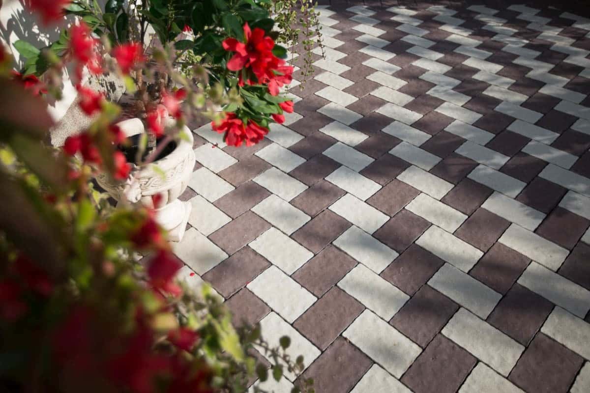 Rustic Clasic – imagine 12