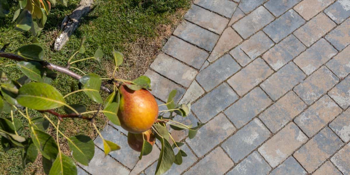Pavaj Appia Antica – imagine 2
